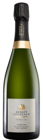 Benoit brut removebg preview